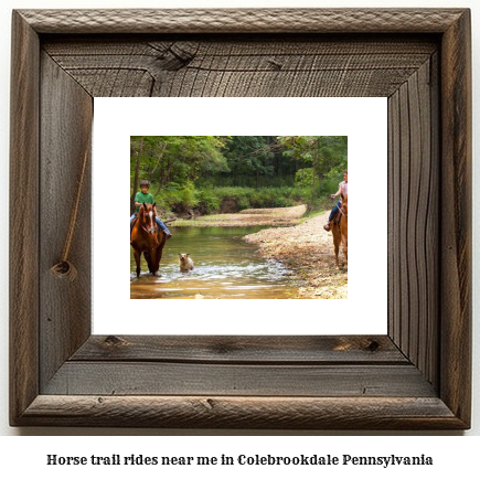 horse trail rides near me in Colebrookdale, Pennsylvania